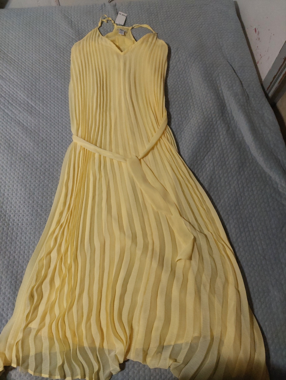 Bar III Pale Lemonade  Pleated Halter Maxi Dress